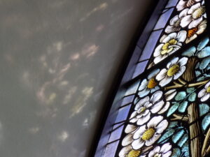 Between Light and Darkness – A Journey to Daylight in the North